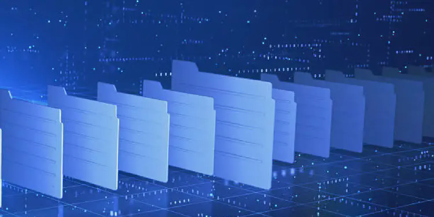 Recovery By File Type